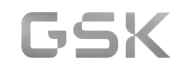 Investor Logo